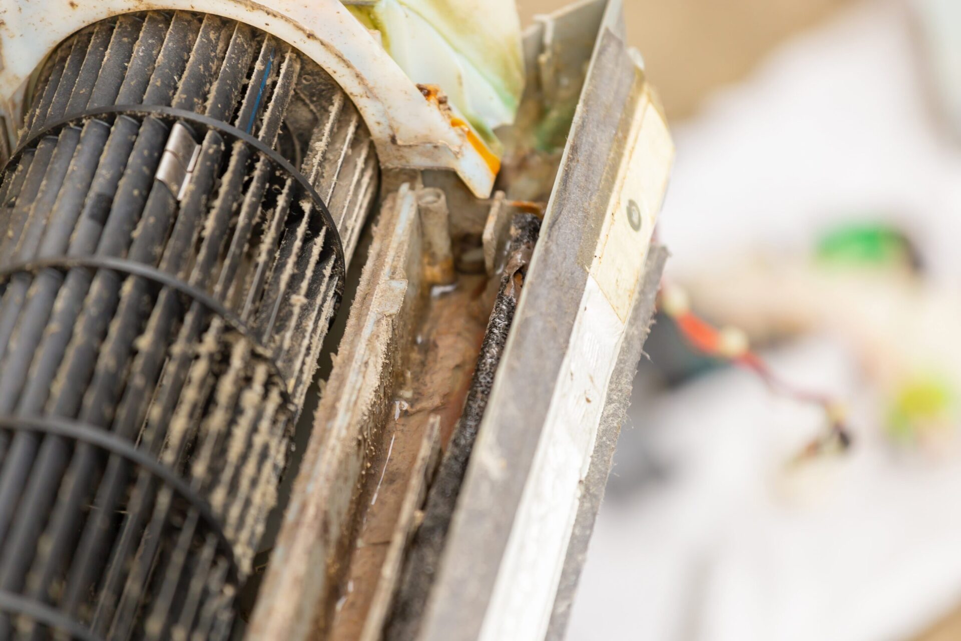 perth HVAC mould check
