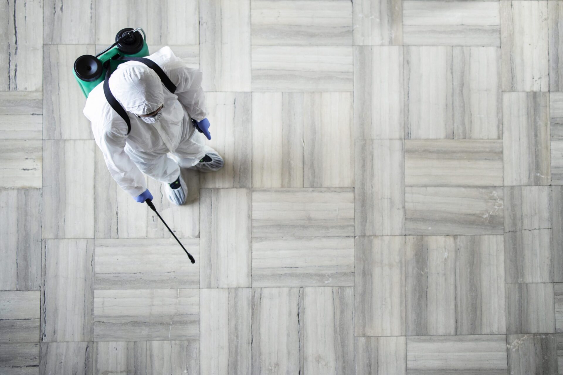 Mould detection perth 
