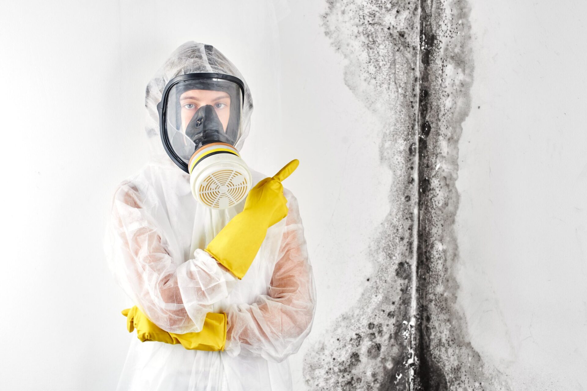 Mould inspection perth
